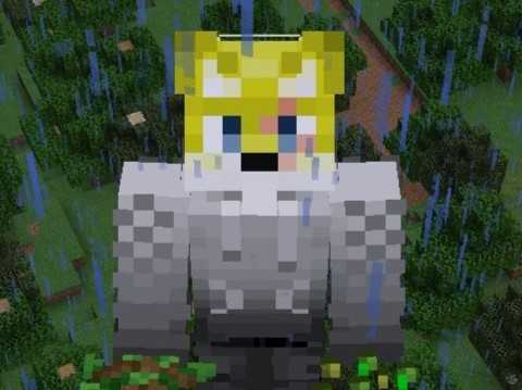 全く遊ばないマインクラフトのスキン。我ながら自信作