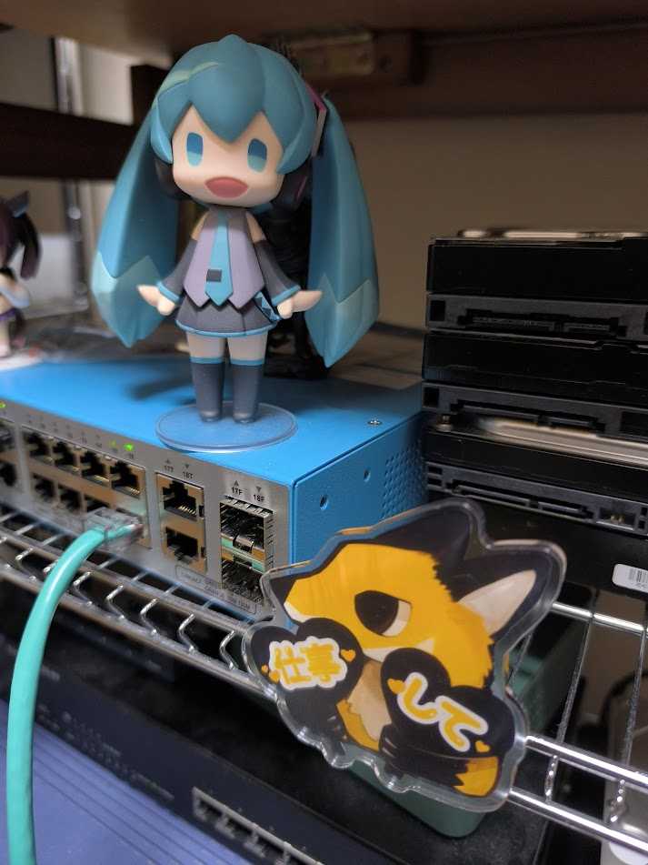 キツネさんも応援しています